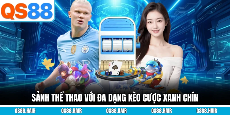 Sảnh thể thao với đa dạng kèo cược xanh chín